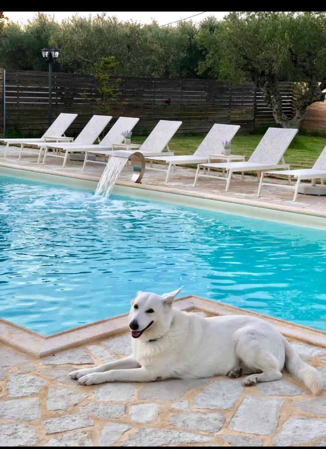 Eleni'S Family Villa Λαγανάς Εξωτερικό φωτογραφία